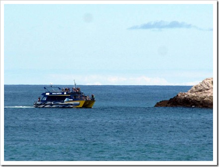 Whale watch boat Kaikoura coming in to view the Seals.