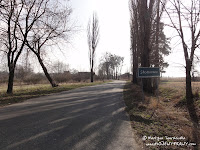 dsc07427.jpg