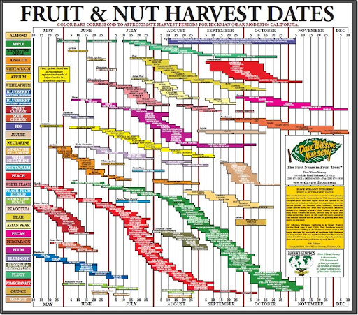 Fruit Harvest Chart