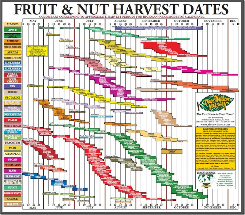 Harvest date fruit and nut