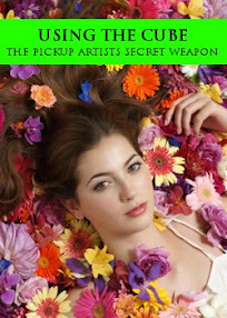 Cover of Daniel Johnson's Book Using The Cube The Pickup Artists Secret Weapon