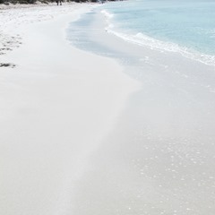 IMG_0605