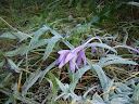 PA100246.JPG