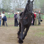 IMGP0290.JPG
