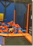 IMG_0779 IMG_0779