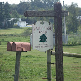 Maple Lane B and B
