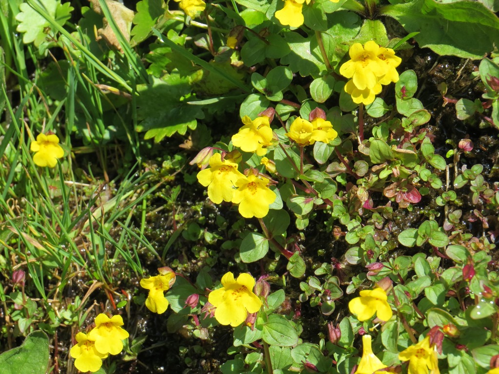 [IMG_6641%255B4%255D.jpg]