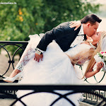 wedding photography (14).jpg
