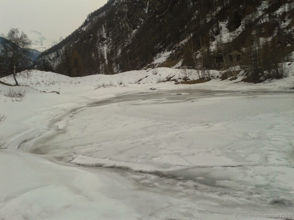 [IMG_20150315_174532%255B7%255D.jpg]