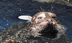 DSC_0118_new.jpg