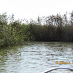 IMG_7948.JPG