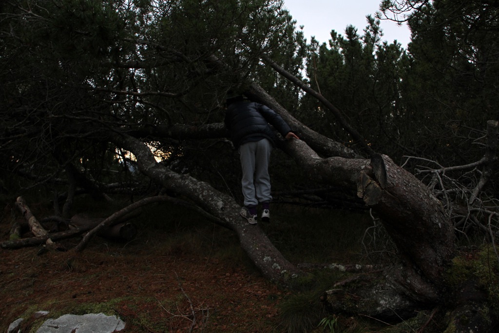 [IMG_5203%255B5%255D.jpg]