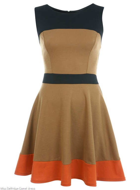 [Miss%2520Selfridge%2520Camel%2520Colour%2520Block%2520Skater%255B10%255D.jpg]