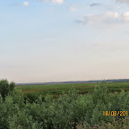 IMG_8184.JPG