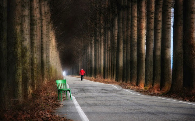 Tema Prosta_1N_Damijan Sedevcic_Kam.jpg