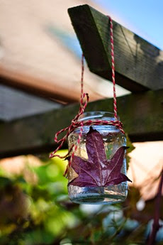 IMG_7059 IMG_7059