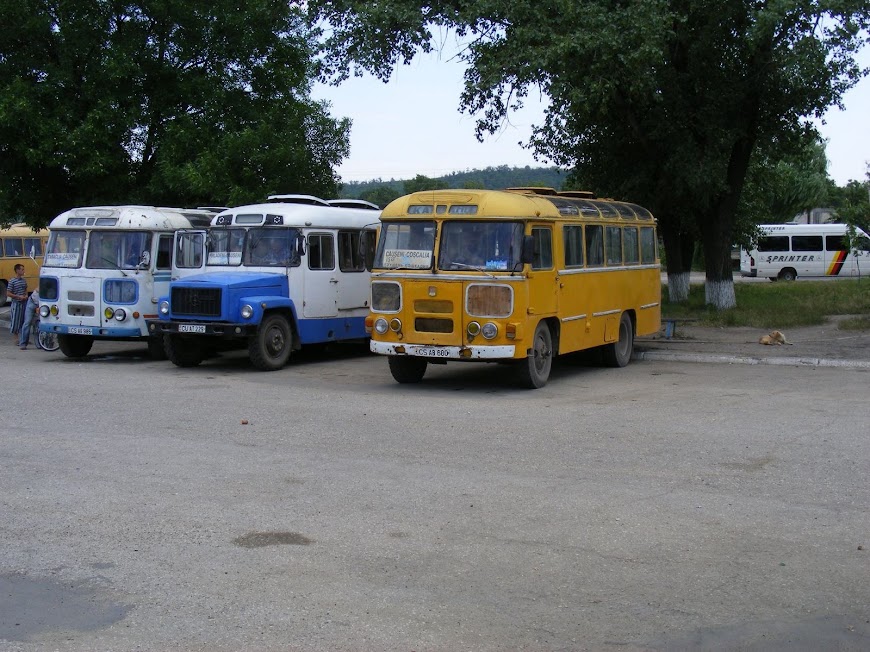 DSCF3335.JPG