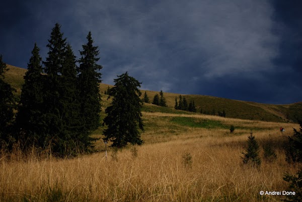 64.jpg 64.jpg