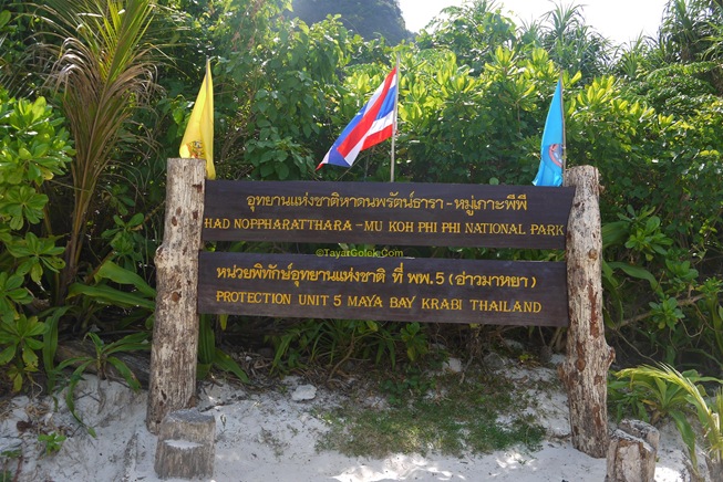 P1040919
