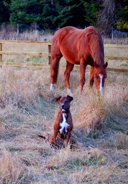 [21%2520Nov%252011%255B3%255D.jpg]