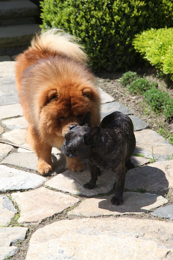 Pssst...Franny!  Do me a favor, will you?