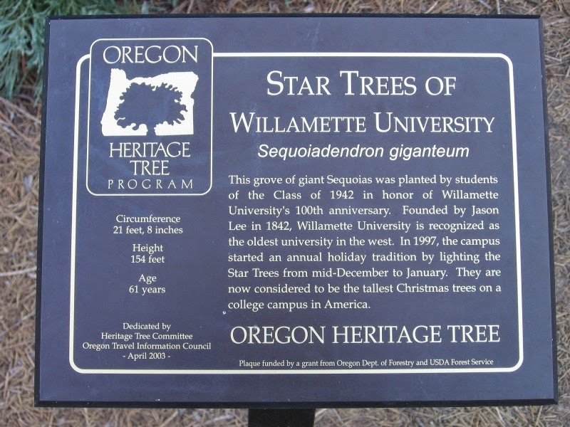 [IMG_3276-Star-Trees-Plaque-at-Willam%255B1%255D.jpg]