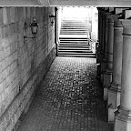 imm029_N29.jpg