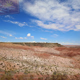 Deserto Pintado -Petrified Forest National Park - Flagstaff, AZ