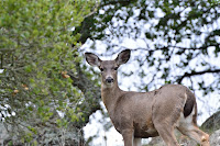 HBR_2012Dec28_011.jpg