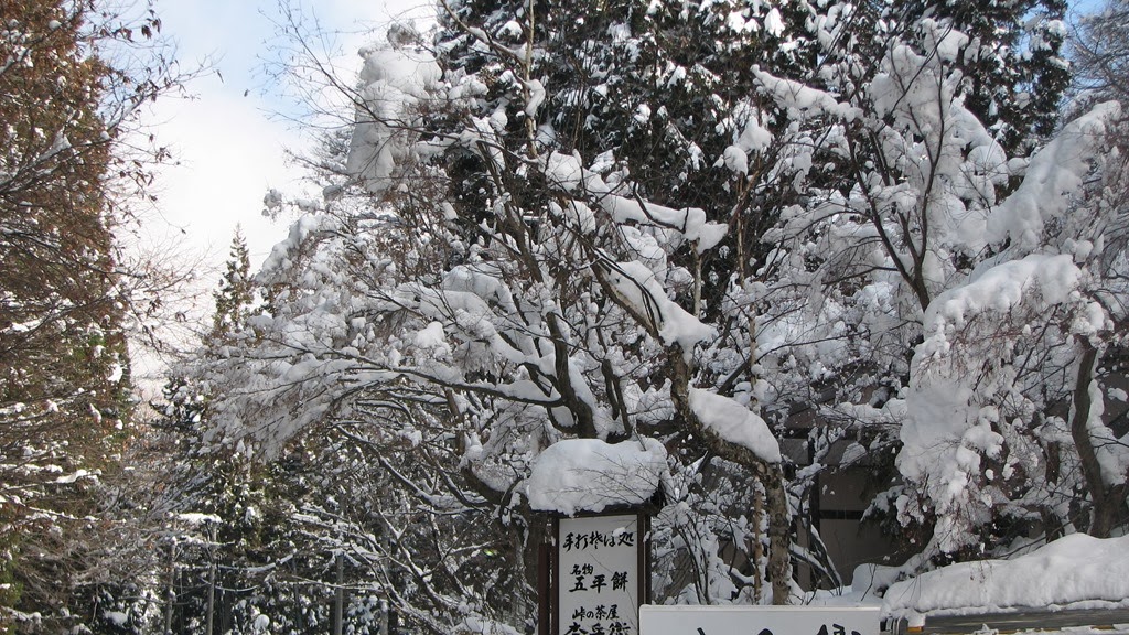 [IMG_4225%255B3%255D.jpg]