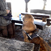 Dielen_Besprechung_1.jpg