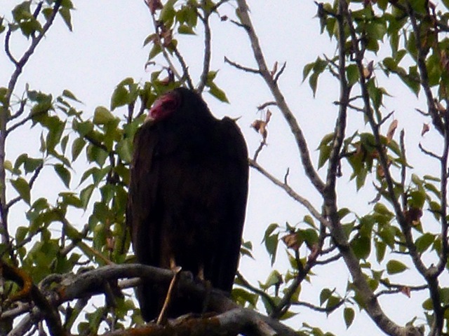 [P10503113.jpg]