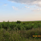 IMG_8182.JPG