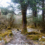 Goechala-dzongri-trek (3).JPG