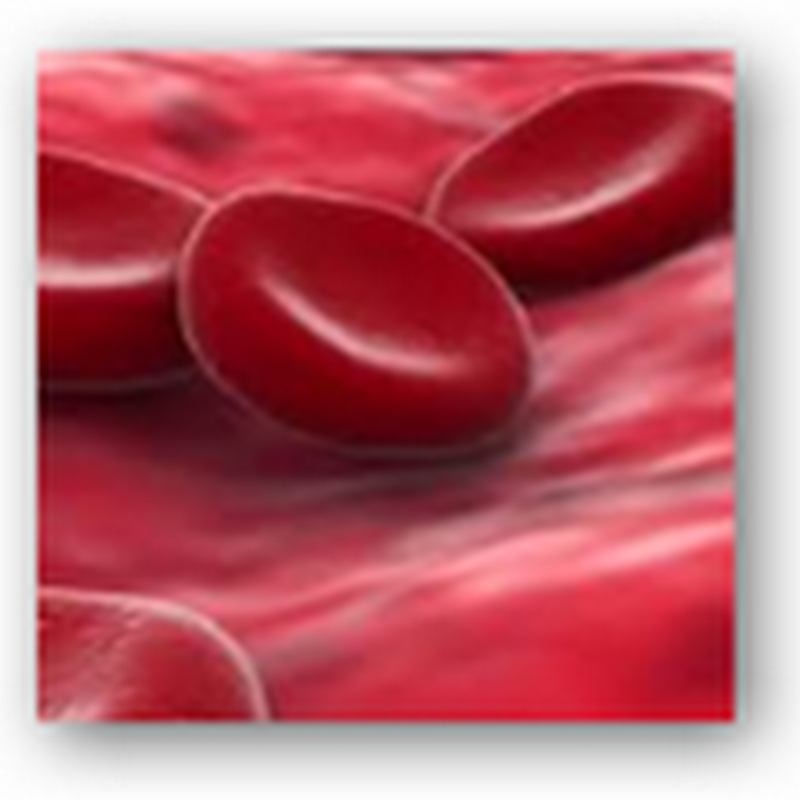 Stem Cells Can Now Be Made With Blood and Could Be One of the Easiest and Safest Sources