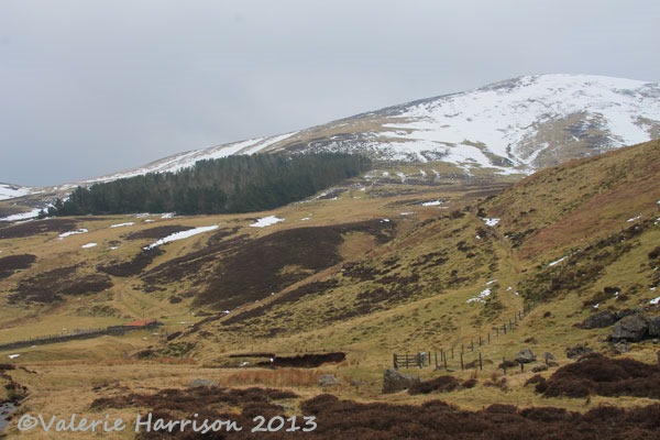 [43-pentlands3.jpg]