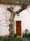 Bairro do Chinelo ou Almeida Araújo - Queluz - 04/01/09