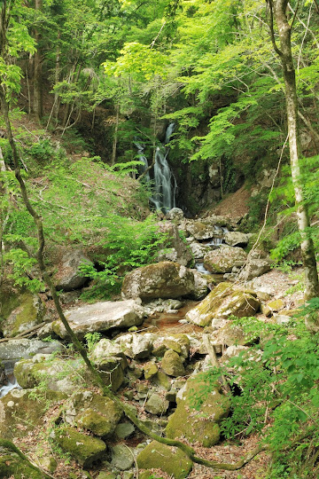 狒狒の滝