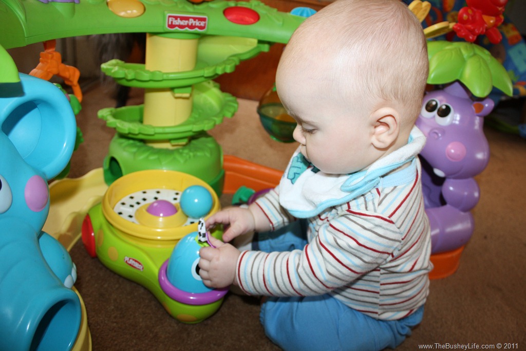 [IMG_0177%255B6%255D.jpg]