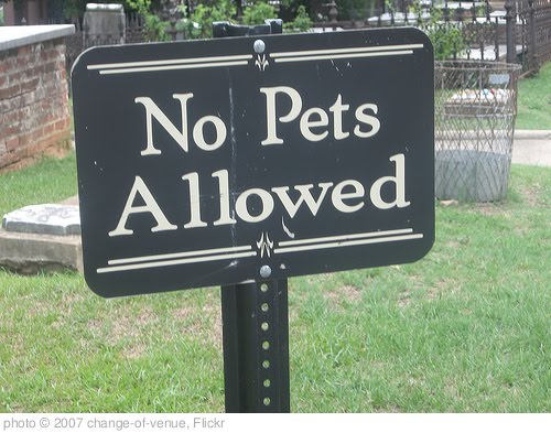 'No Pets Allowed (In the Cemetery)' photo (c) 2007, change-of-venue - license: http://creativecommons.org/licenses/by-sa/2.0/