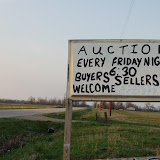 "Auction" - copyright David Thompson