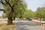 DSC01548.JPG