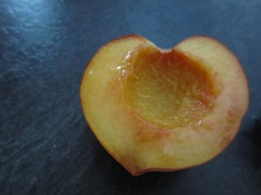 [IMG_4892%255B1%255D.jpg]