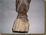 Patung pria primitif - kaki Patung pria primitif - kaki