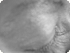 DSCN0384 DSCN0384