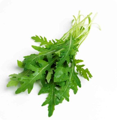 rucola rucola