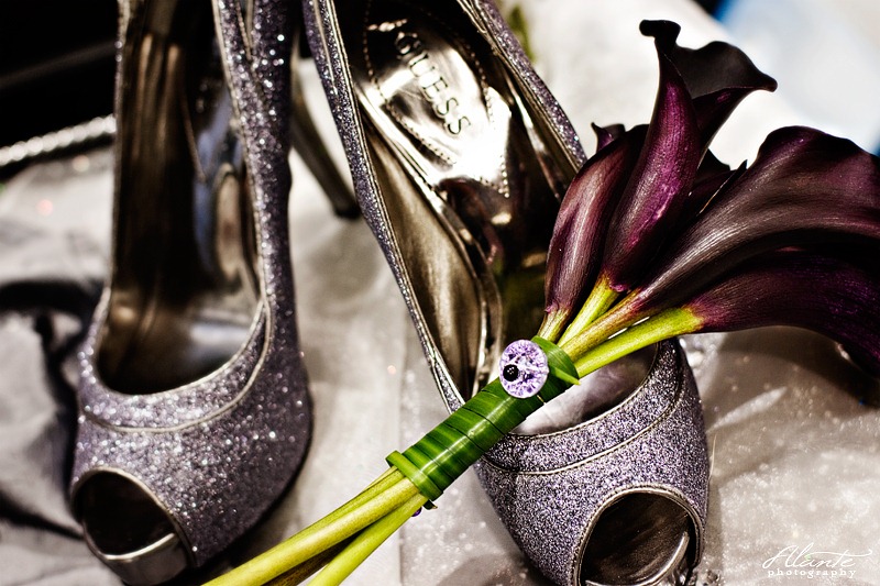 [purple-silver-wedding-2-alante-photo.jpg]