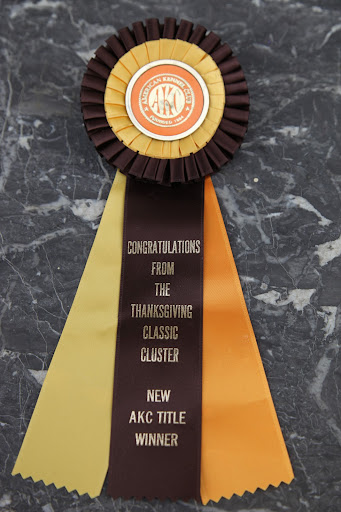 Plus, the New American Kennel Club Title Winner!