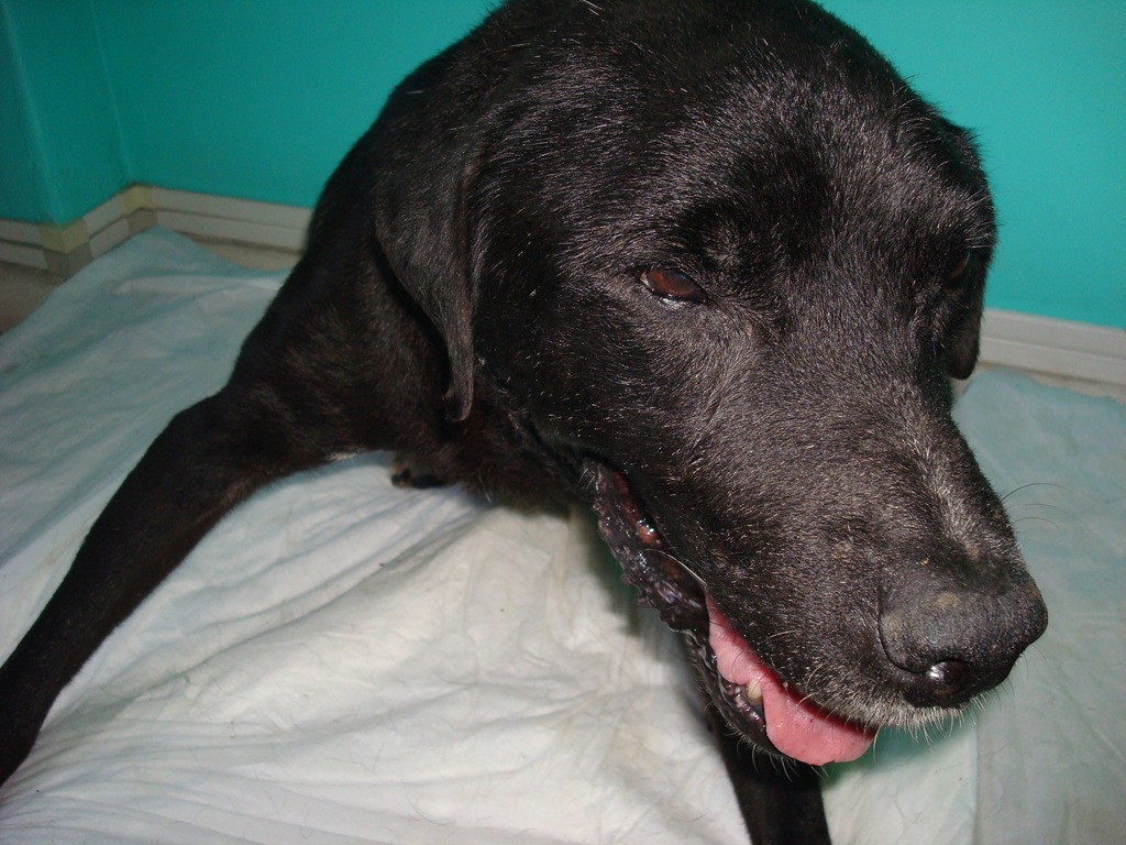 [DSC01444%255B3%255D.jpg]