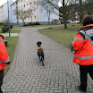IMG_1233.JPG